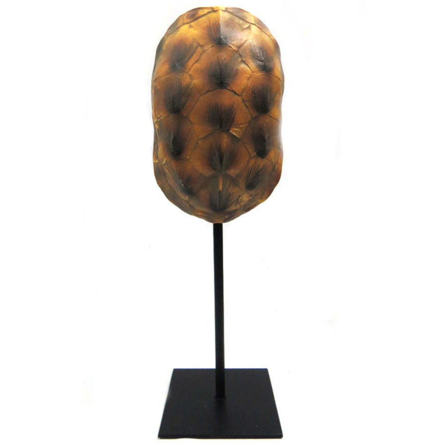 TORTOISE SMALL