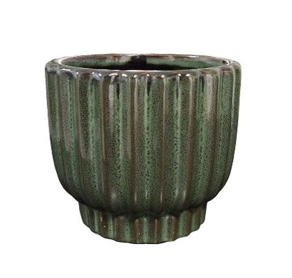 JUNGLE LINES PLANTER ON BASE