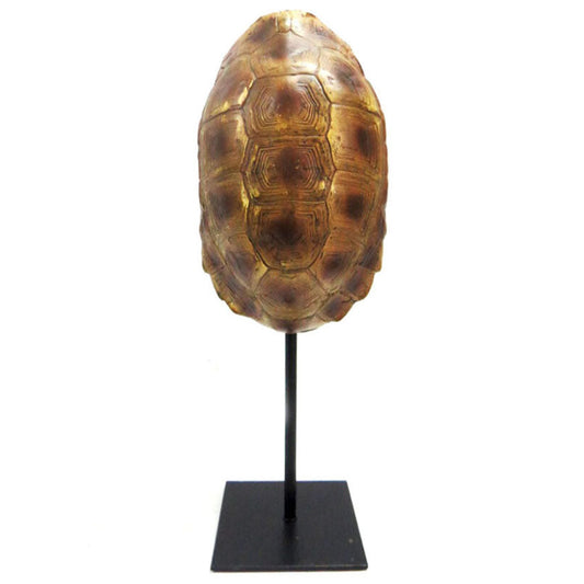 TORTOISE LARGE