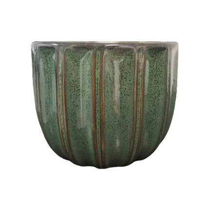 JUNGLE LINES PLANTER